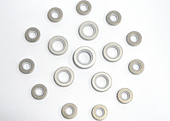 Metallization HPA 95% Alumina Ceramic Sealed Parts